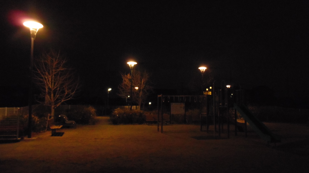 2013/02/03_夜のなかはら公園