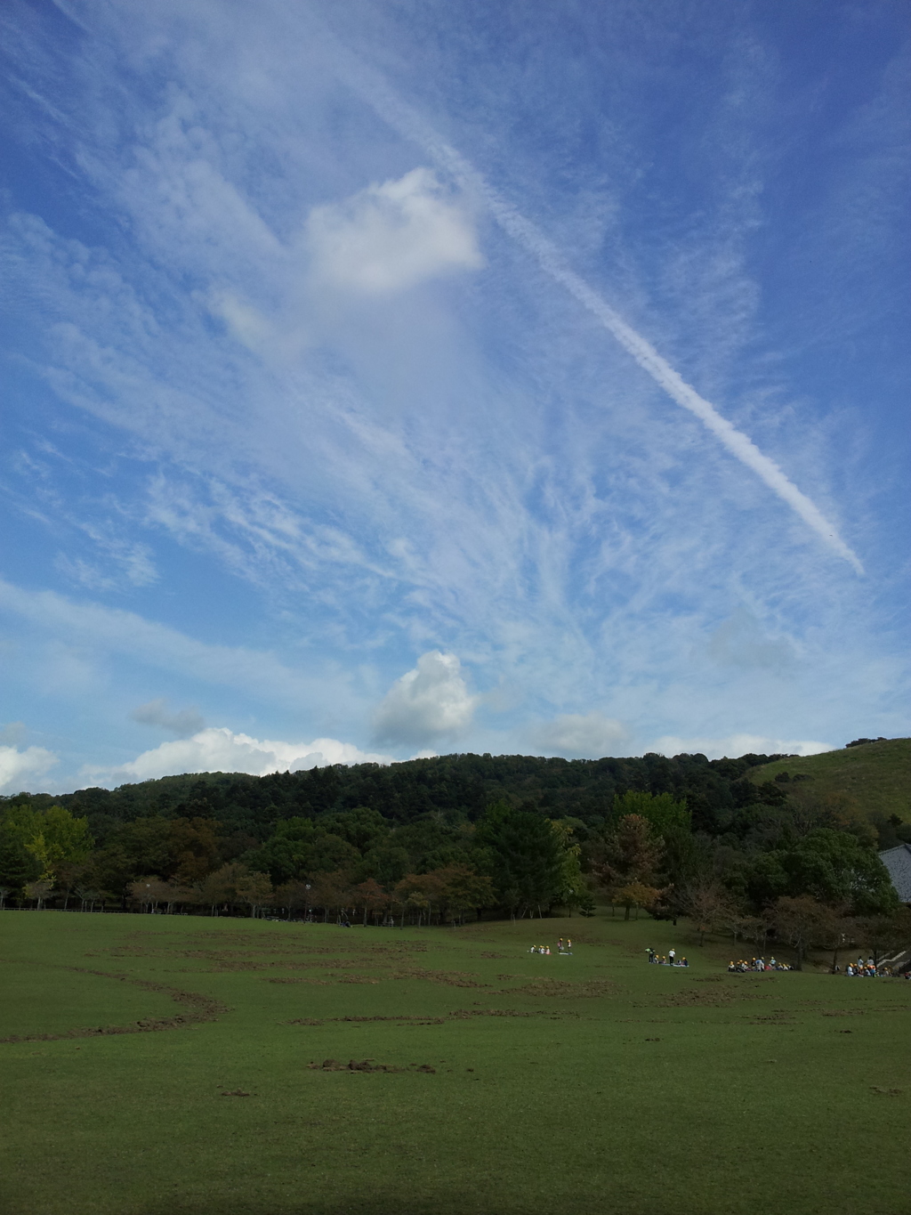 2016/10/18_奈良公園 春日野園地と若草山に飛行機雲