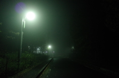 2014/11/29_霧の夜道