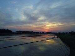 2017/05/21_水田の夕暮れ