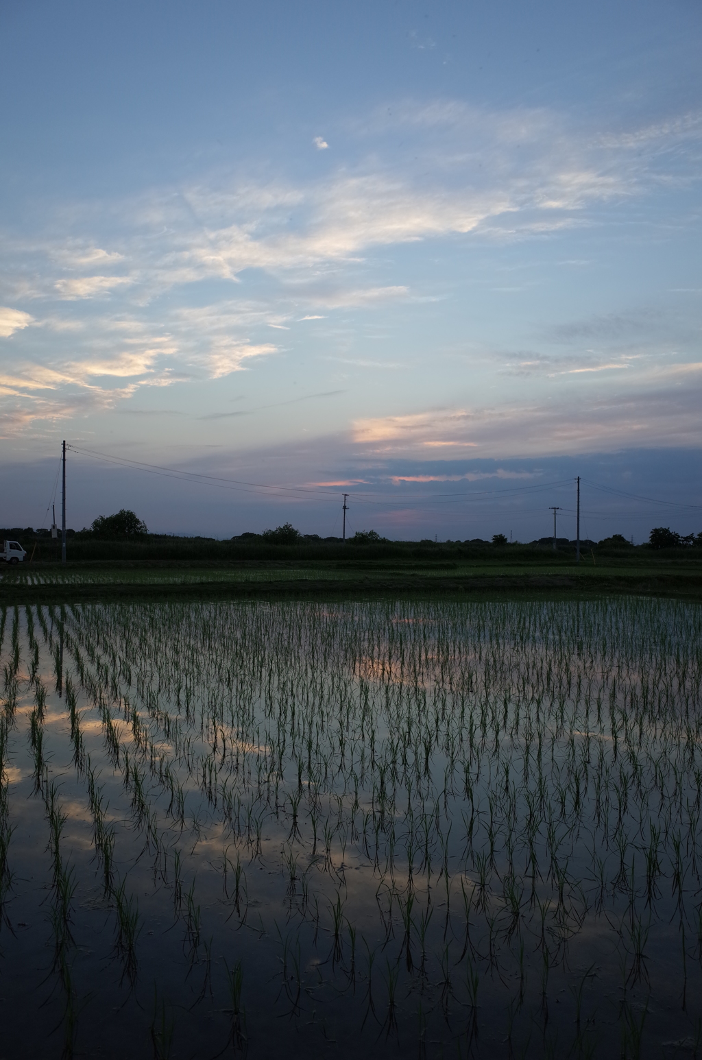 2015/05/24_水田の夕暮れ