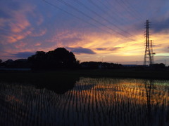 2017/06/25_水田の夕暮れ