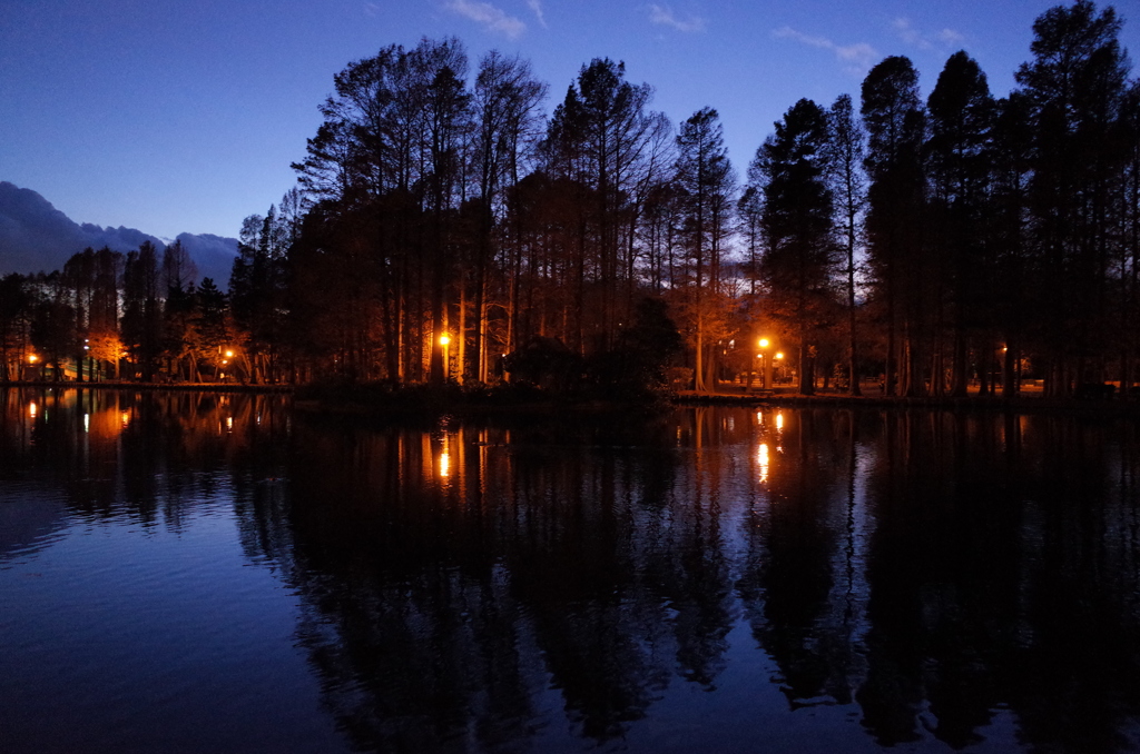 2014/12/14_夕暮れの別所沼公園