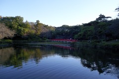 2015/11/03_岩槻城址公園