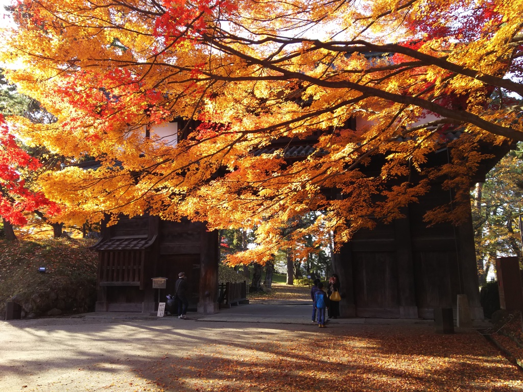 2016/11/14_弘前公園 南内門と紅葉