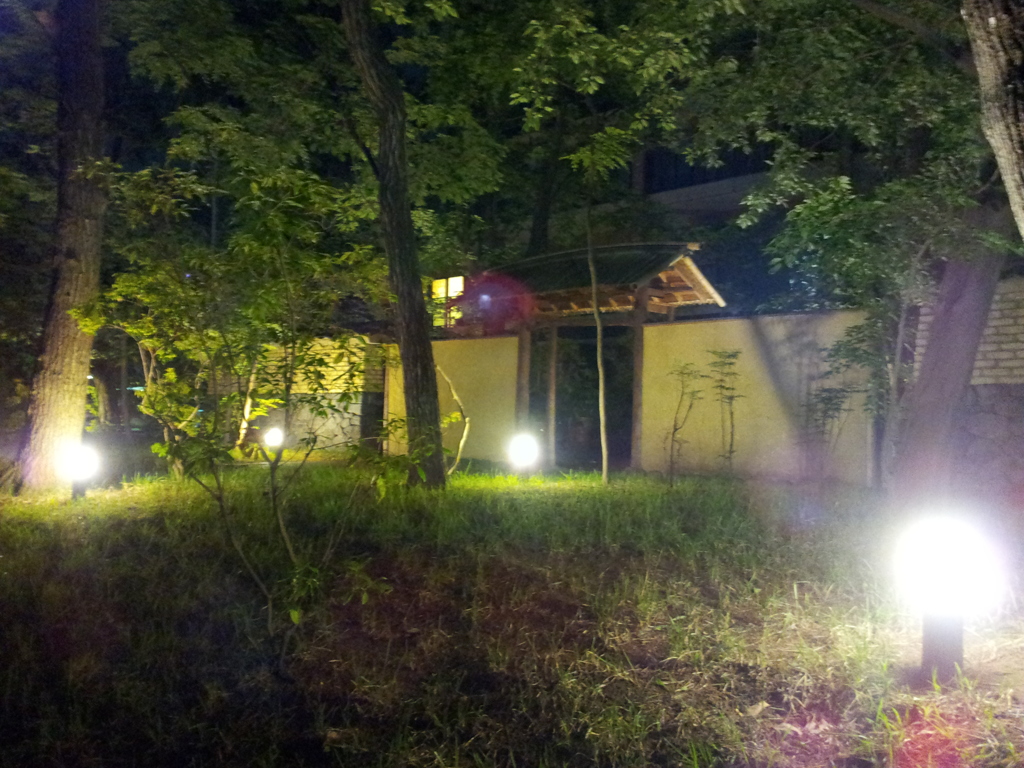 2016/05/08_夜のこころの杜