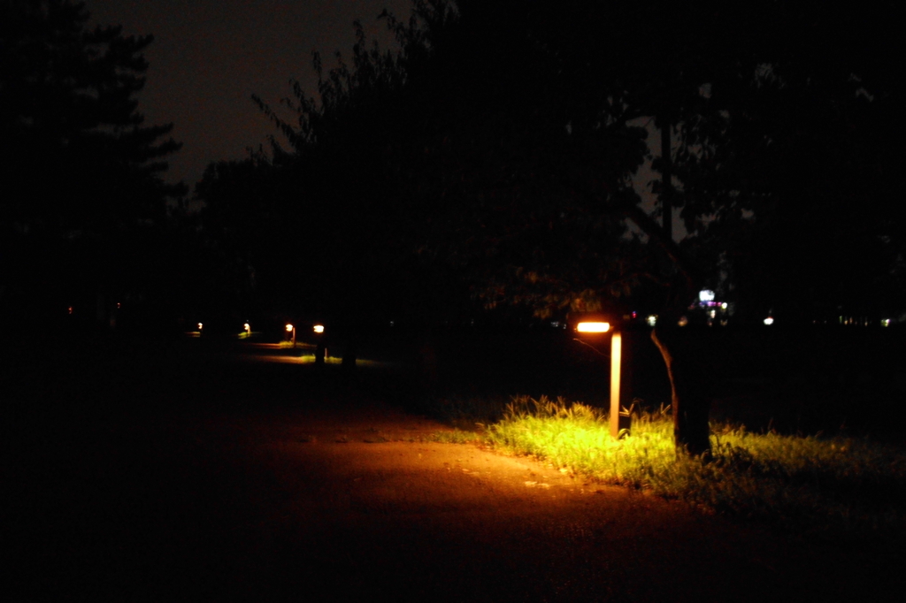 2014/08/17_夜のさきたま古墳公園