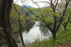 2014/04/19_槻川の流れ