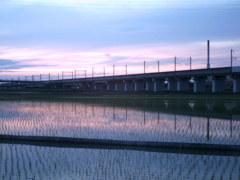 2016/06/11_水田の夕暮れ