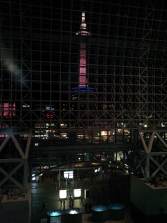 2019/04/12_京都駅 南広場から夜の京都タワーを望む