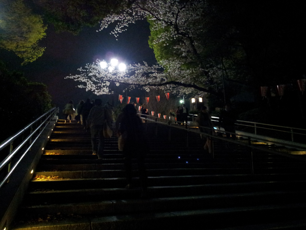 2015/04/03_上野公園の夜桜
