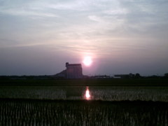 2015/07/12_水田の夕暮れ