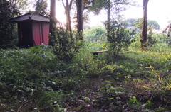 2015/05/10_夕暮れの辯才天堂