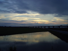 2016/07/24_水田の夕暮れ