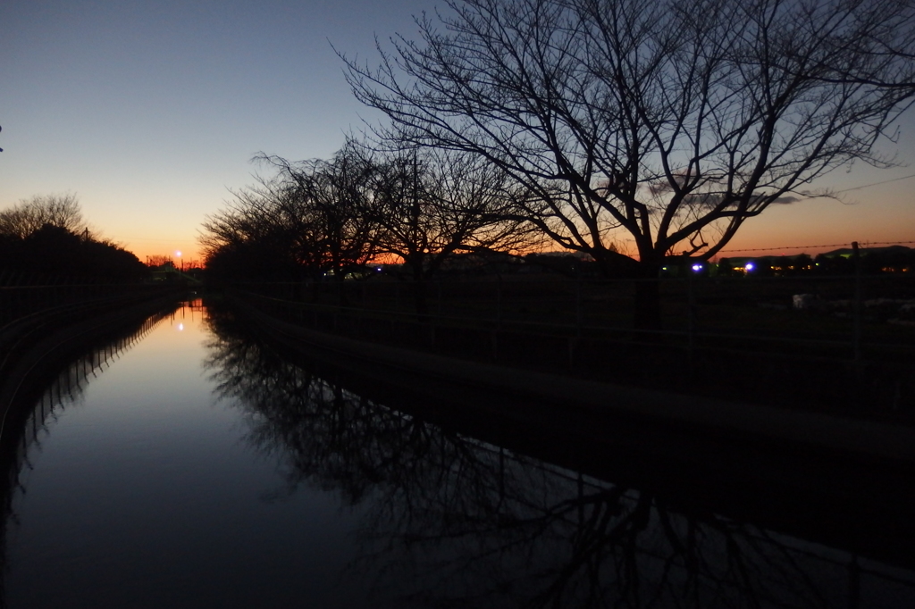 2015/12/26_見沼代用水の夕暮れ