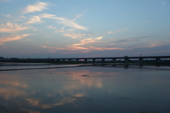 2016/06/18_水田の夕暮れ