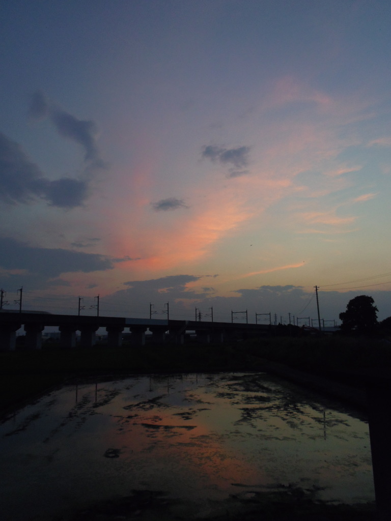 2017/07/17_水田の夕暮れ