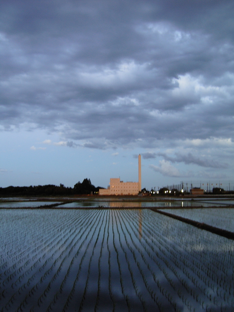 2017/06/04_水田に雲と夕日を浴びる伊奈町クリーンセンター（没カット）