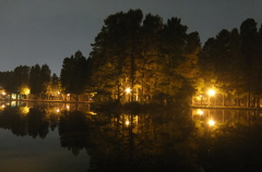 2014/11/02_夜の別所沼公園