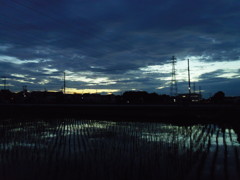 2017/07/01_水田の夕暮れ