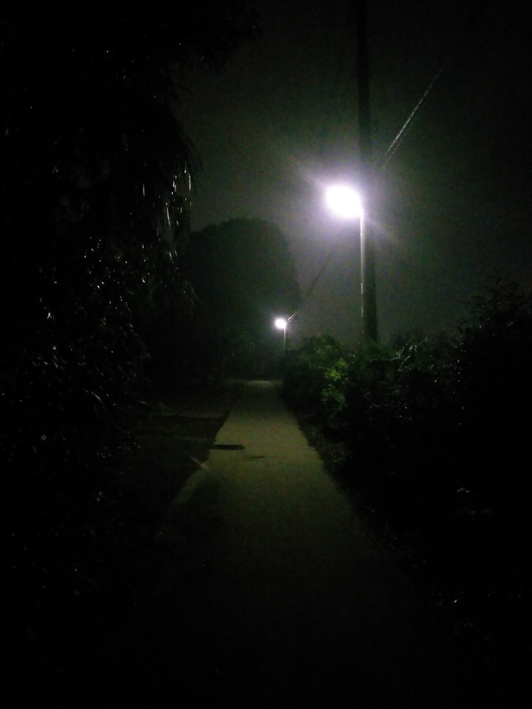 2016/10/09_薄ら靄の夜道