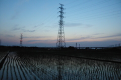 2016/06/18_水田の夕暮れ