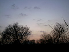 2015/12/31_夕暮れ