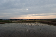 2015/05/31_水田の夕暮れ