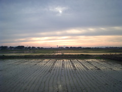 2015/05/31_水田の夕暮れ