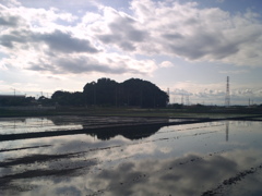 2017/05/14_水田に雲