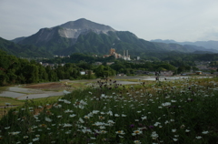 2015/05/23_寺坂棚田と武甲山