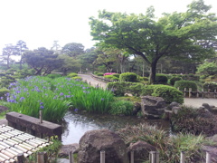 2016/05/12_兼六園
