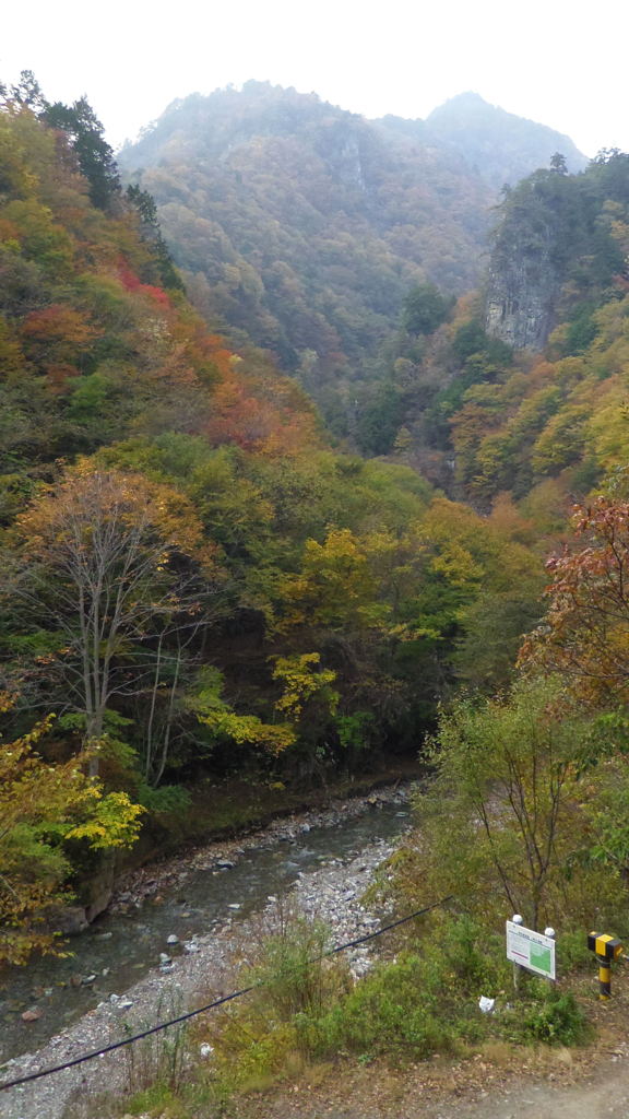 2013/11/02_中津峡の紅葉