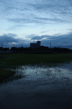 2015/06/21_夕暮れのラブミー農場跡地