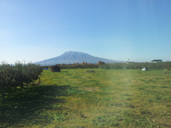 2016/11/14_五能線から岩木山を望む