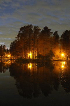 2014/12/07_夕暮れの別所沼公園