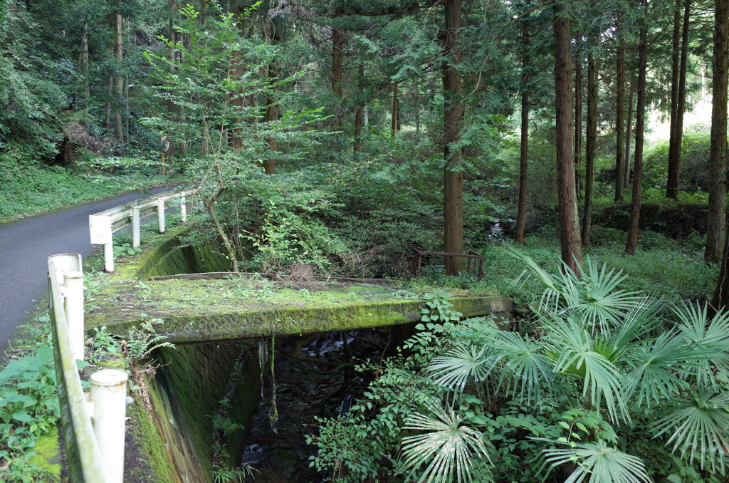 2017/10/09_外秩父山中の苔むした橋