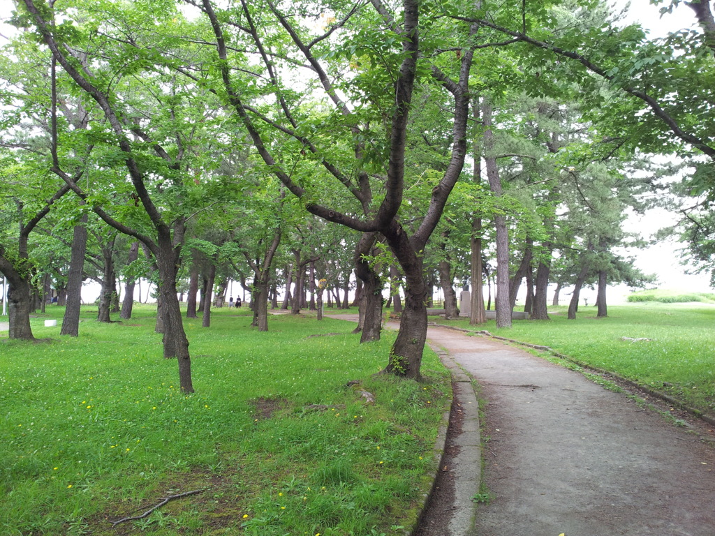 2018/07/16_合浦公園