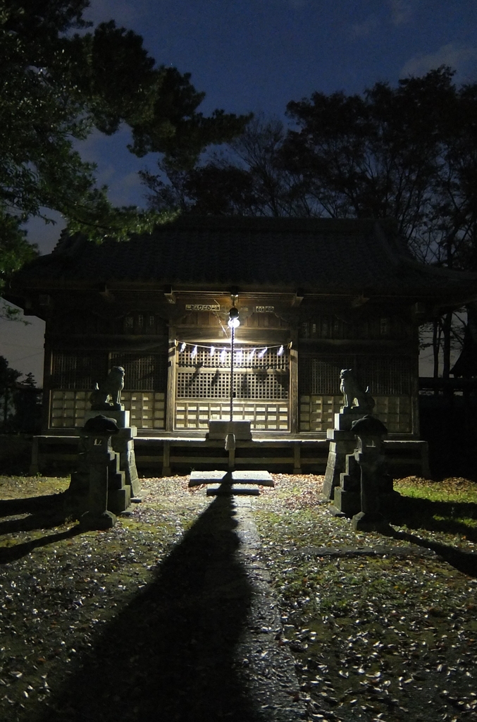 2014/11/23_夕暮れの氷川神社