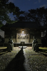 2014/11/23_夕暮れの氷川神社