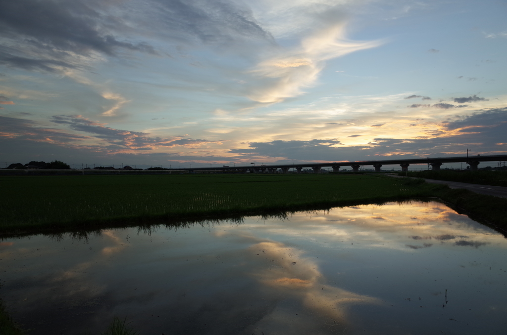 2015/07/19_水田の夕暮れ