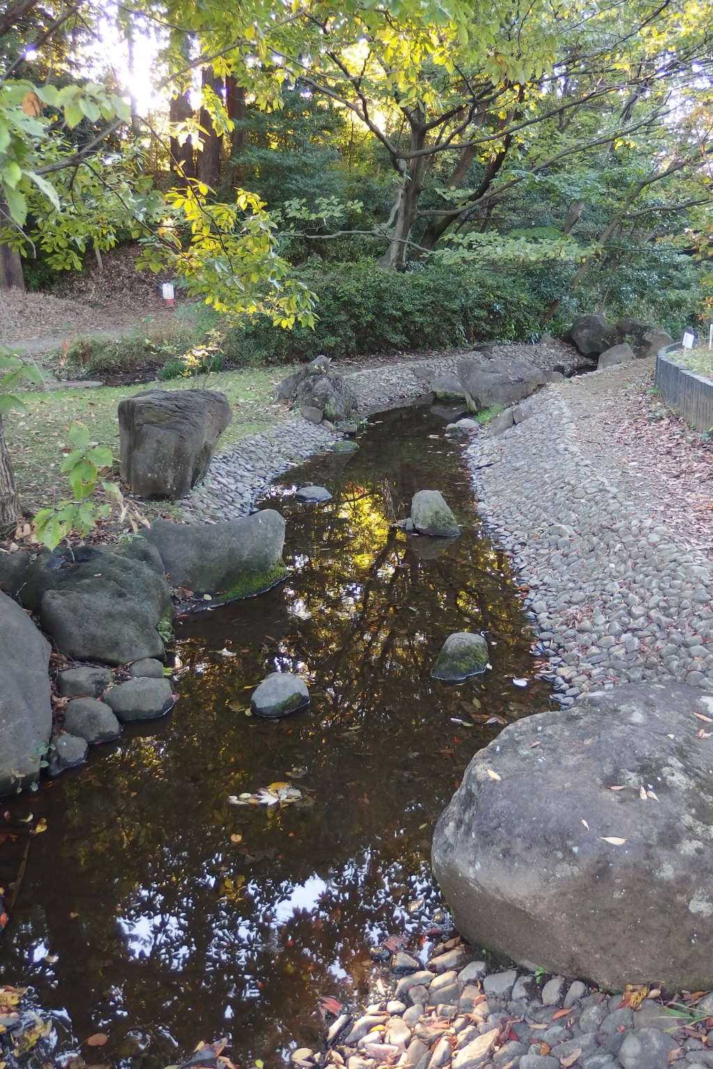 2015/11/03_岩槻城址公園