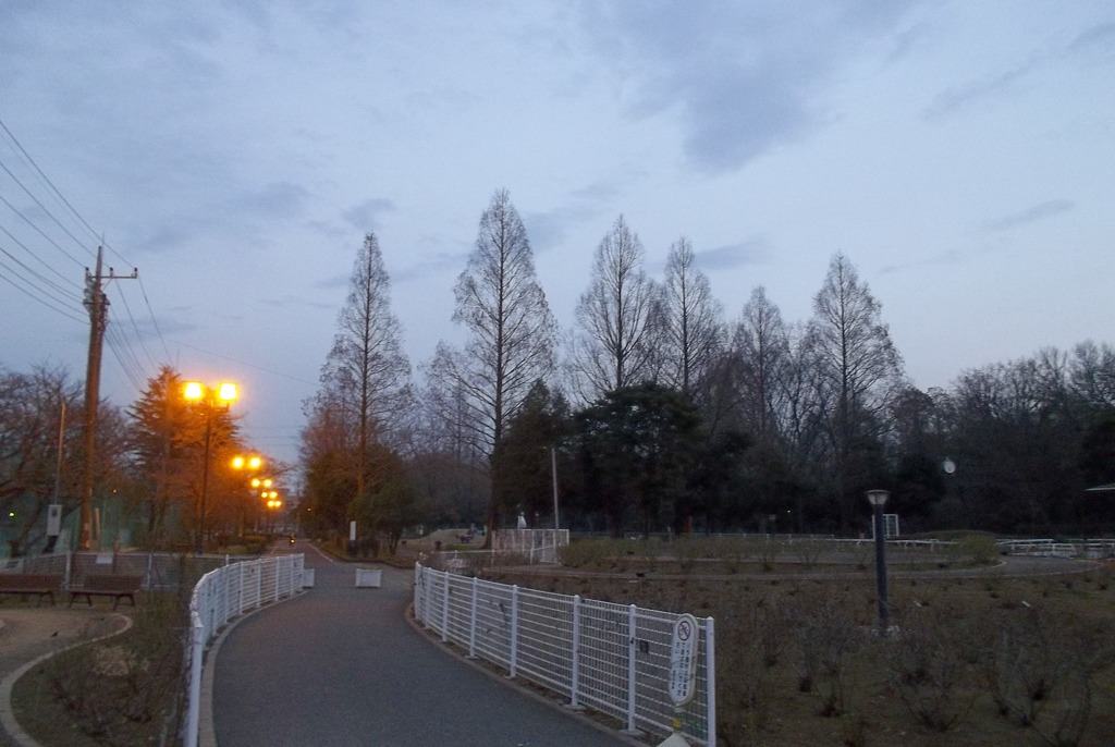 2016/02/13_夕暮れの伊奈町制施行記念公園