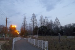 2016/02/13_夕暮れの伊奈町制施行記念公園