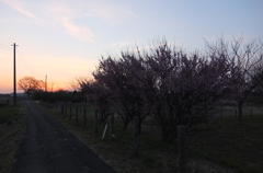 2015/02/28_夕暮れ