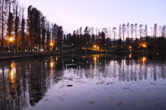2014/12/14_夕暮れの別所沼公園
