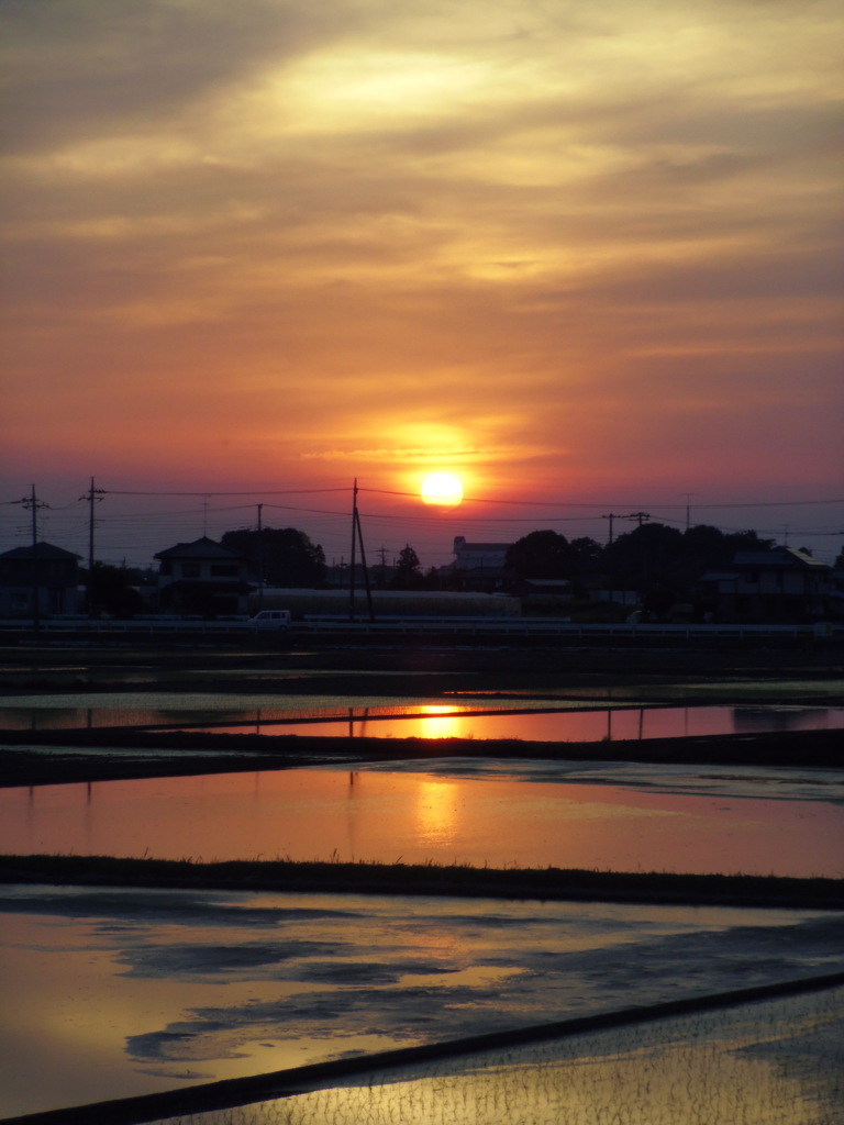 2017/05/21_水田の夕日