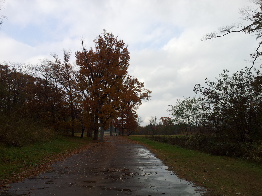 2016/11/13_三内丸山遺跡への道