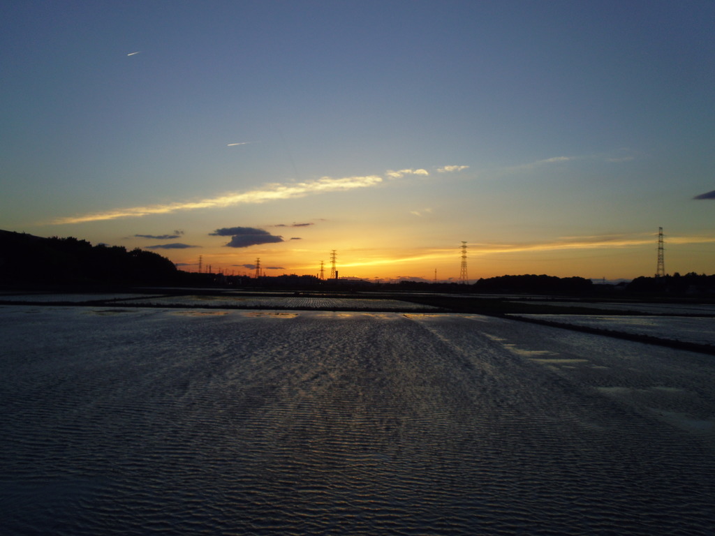2017/06/03_水田の夕暮れ