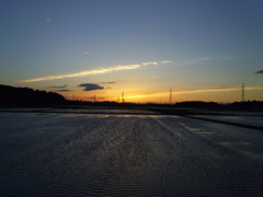 2017/06/03_水田の夕暮れ